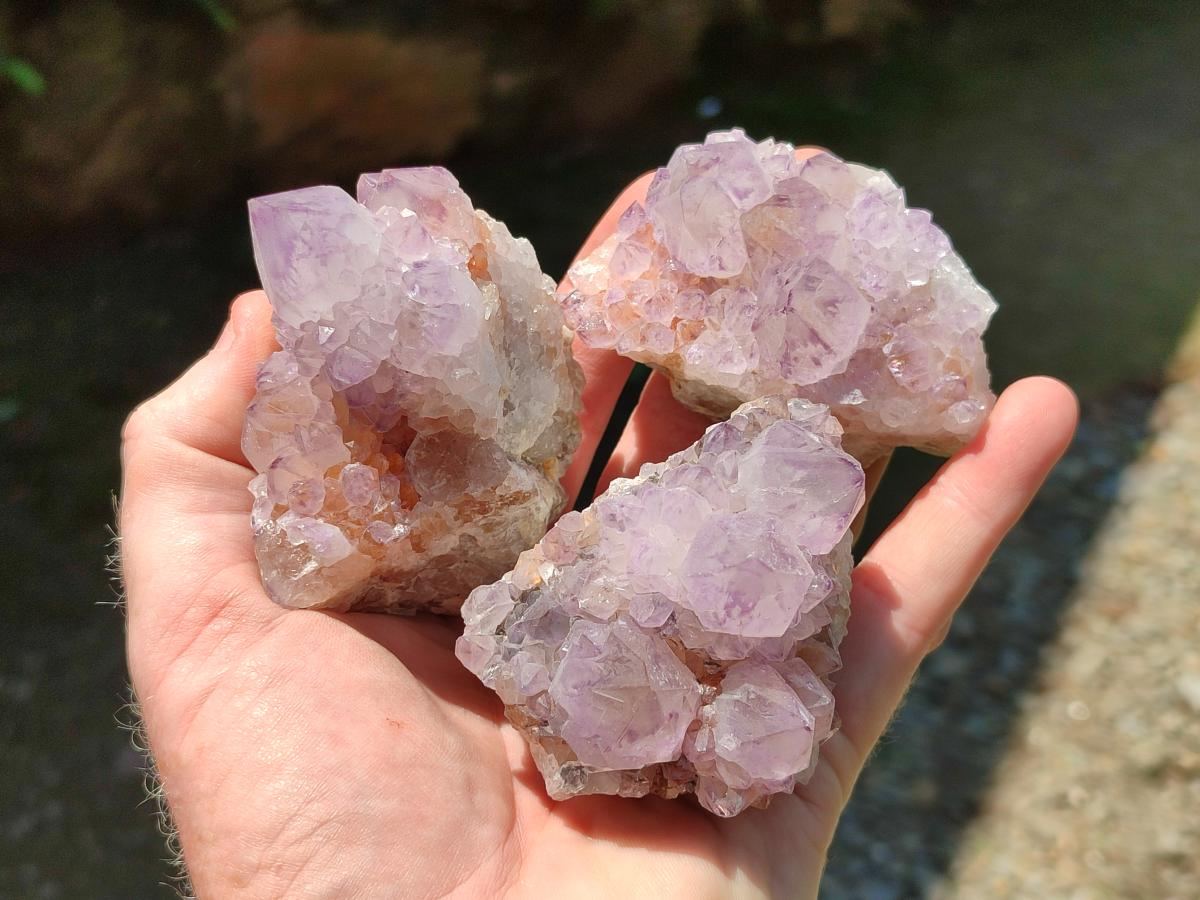 Natural Sunburst Amethyst Spirit Clusters x 6 From Boekenhouthoek, South Africa