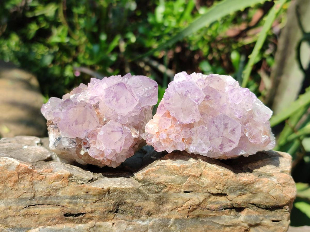 Natural Sunburst Amethyst Spirit Clusters x 6 From Boekenhouthoek, South Africa