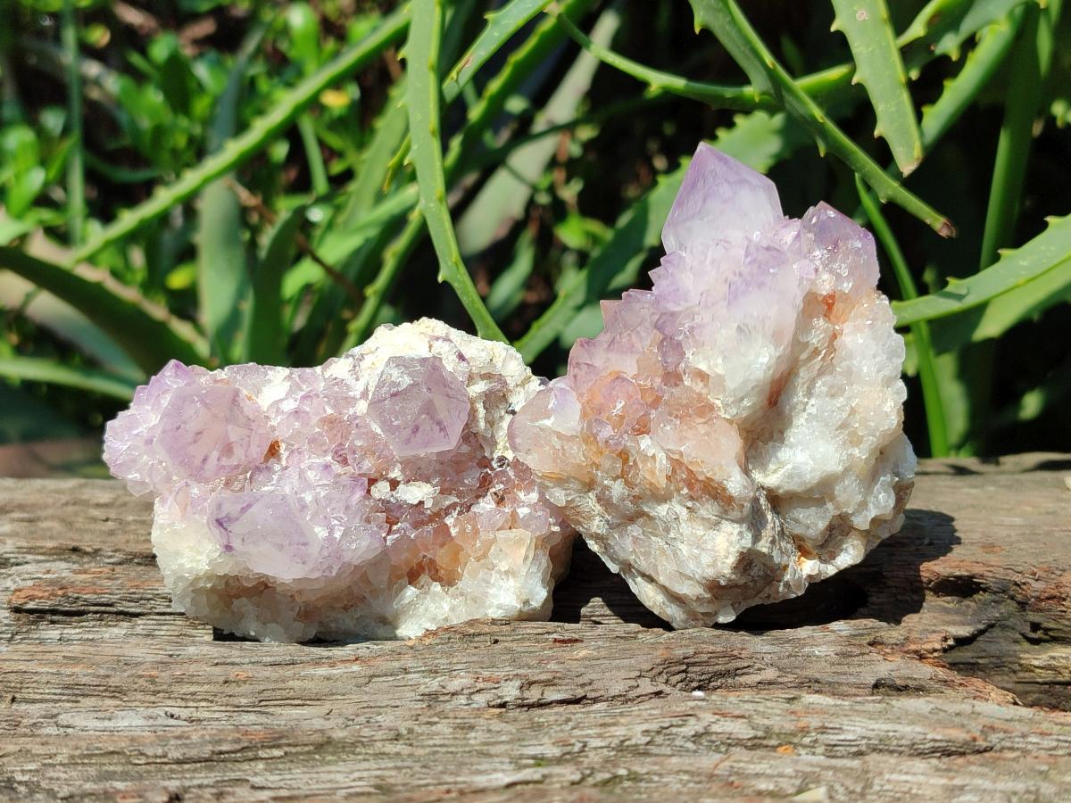 Natural Sunburst Amethyst Spirit Clusters x 6 From Boekenhouthoek, South Africa