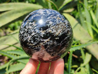 Polished Gabbro 'Merlinite' Spheres x 2 From Madagascar