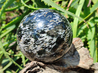 Polished Gabbro 'Merlinite' Spheres x 2 From Madagascar
