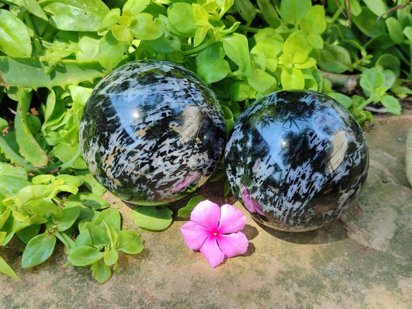 Polished Gabbro 'Merlinite' Spheres x 2 From Madagascar