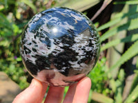 Polished Gabbro 'Merlinite' Spheres x 2 From Madagascar