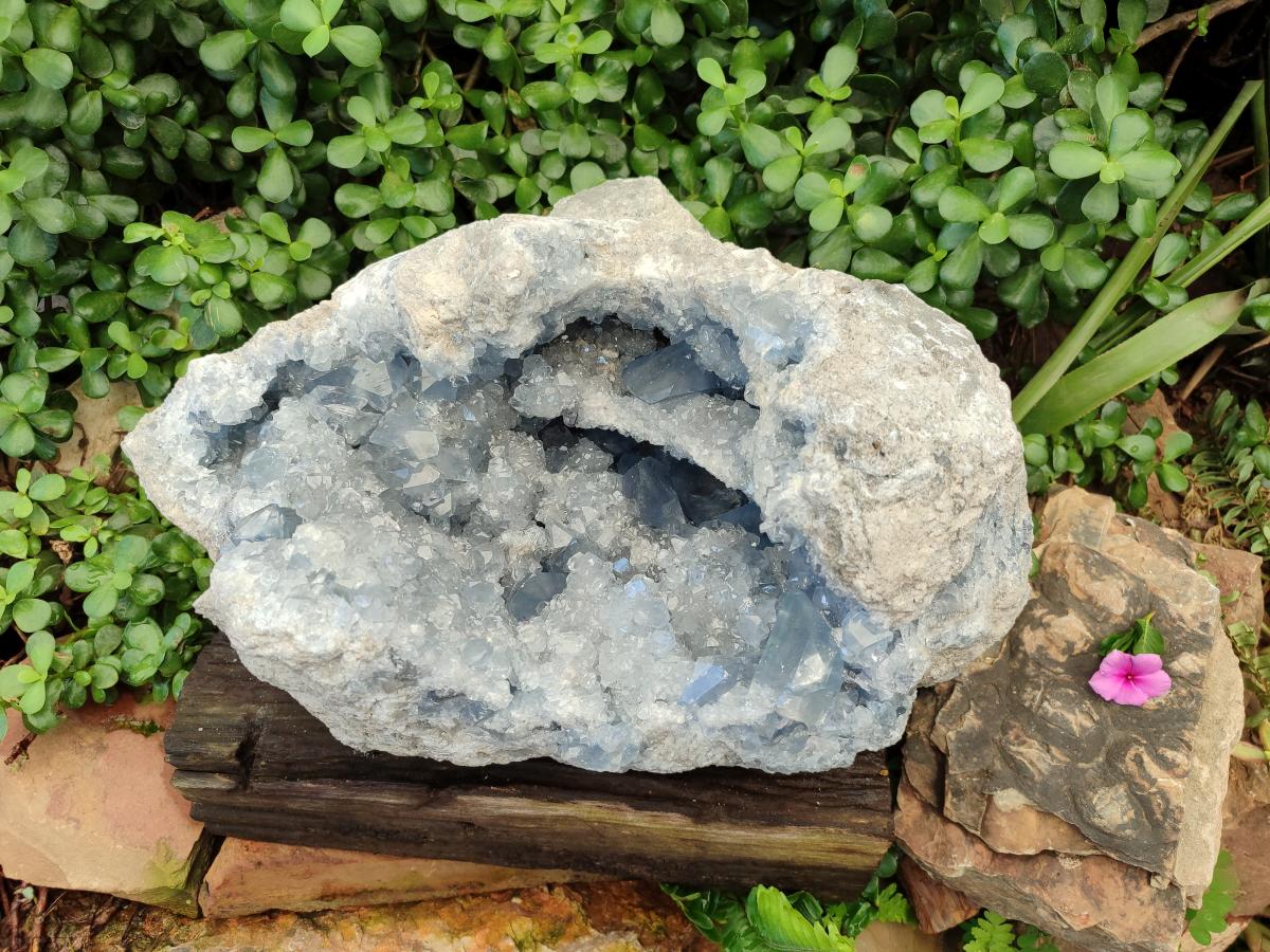 Natural XXL Blue Celestite Geode Specimen x 1 From Sakoany, Madagascar
