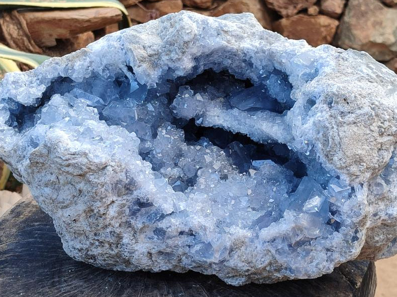 Natural XXL Blue Celestite Geode Specimen x 1 From Sakoany, Madagascar