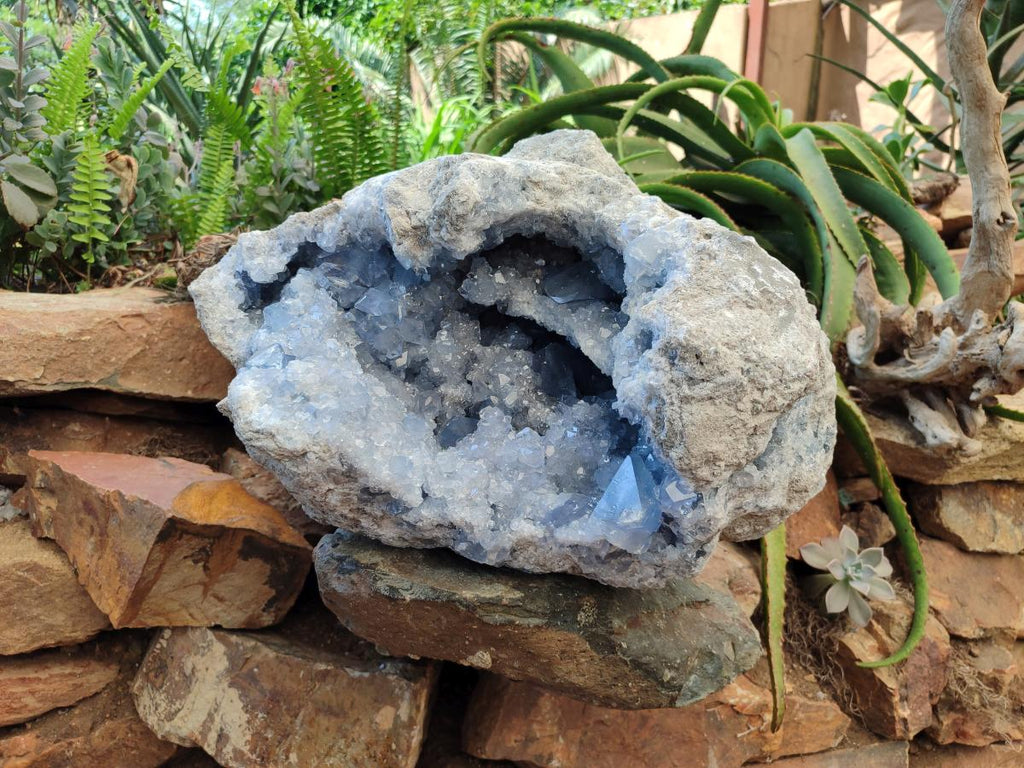Natural XXL Blue Celestite Geode Specimen x 1 From Sakoany, Madagascar
