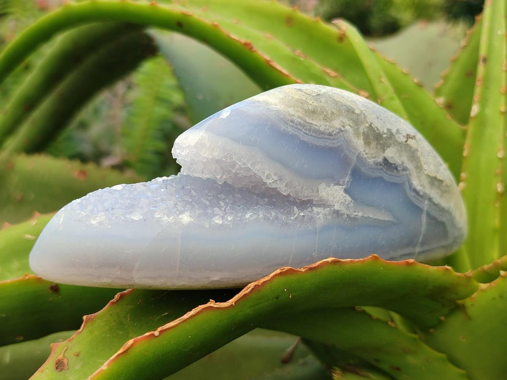 Polished Blue Lace Agate Free Forms x 9 From Nsanje, Malawi