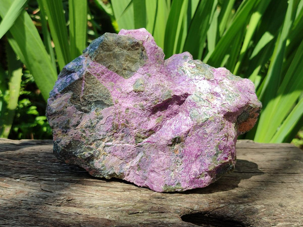 Natural Stichtite Cobbed Specimens x 4 From Barberton, South Africa