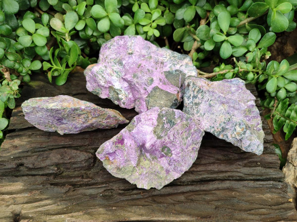 Natural Stichtite Cobbed Specimens x 4 From Barberton, South Africa