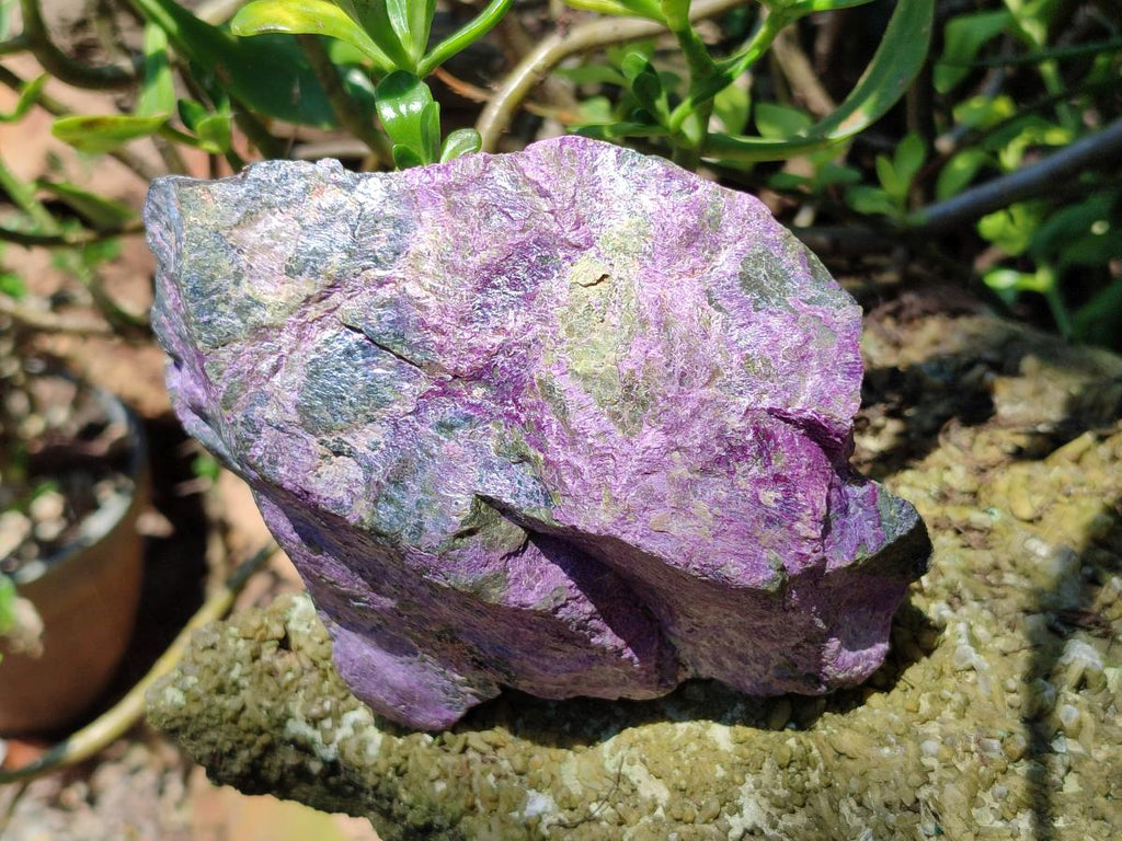 Natural Stichtite Cobbed Specimens x 4 From Barberton, South Africa