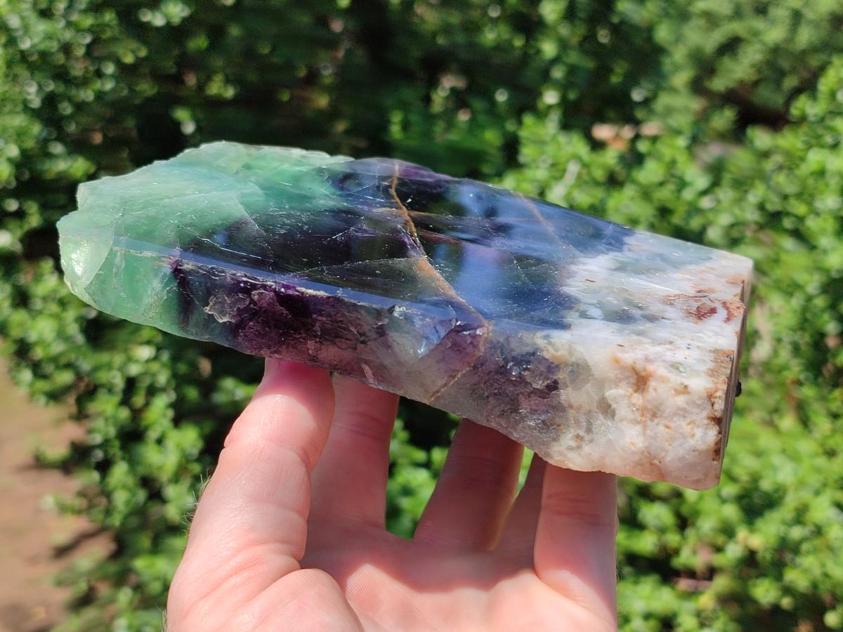 Polished On One Side Watermelon Fluorite Slice x 1 From Uis, Namibia
