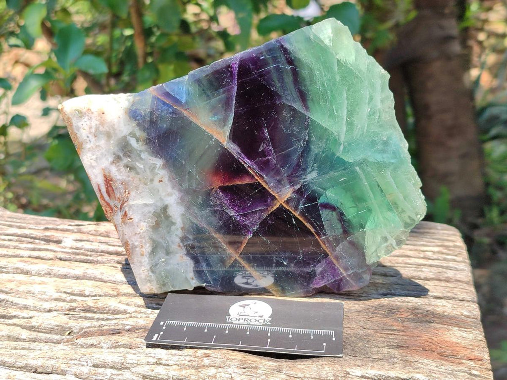 Polished On One Side Watermelon Fluorite Slice x 1 From Uis, Namibia