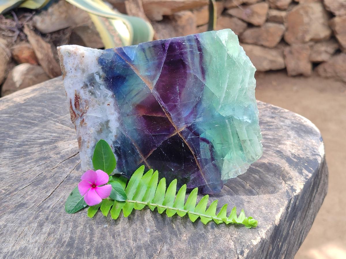 Polished On One Side Watermelon Fluorite Slice x 1 From Uis, Namibia