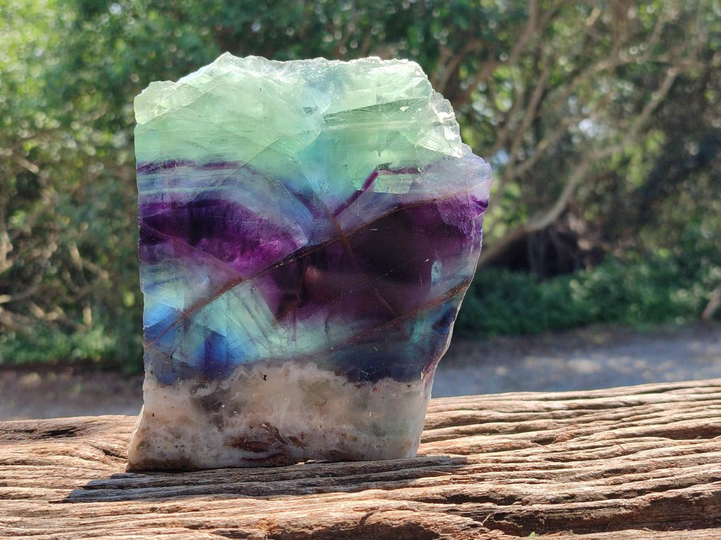 Polished On One Side Watermelon Fluorite Slice x 1 From Uis, Namibia