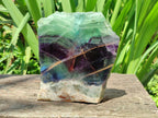 Polished On One Side Watermelon Fluorite Slice x 1 From Uis, Namibia