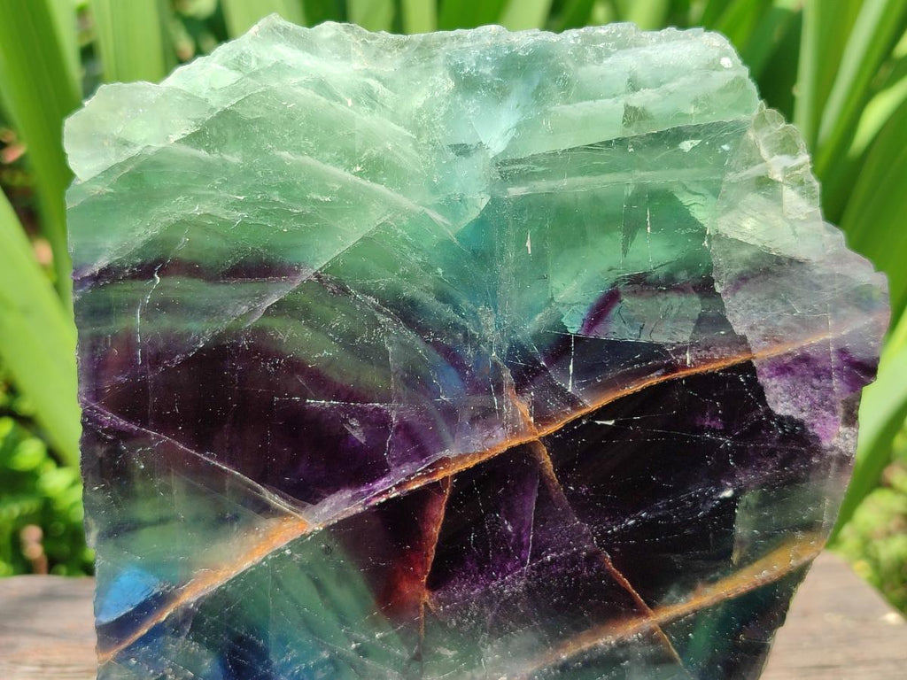 Polished On One Side Watermelon Fluorite Slice x 1 From Uis, Namibia