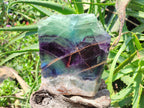 Polished On One Side Watermelon Fluorite Slice x 1 From Uis, Namibia