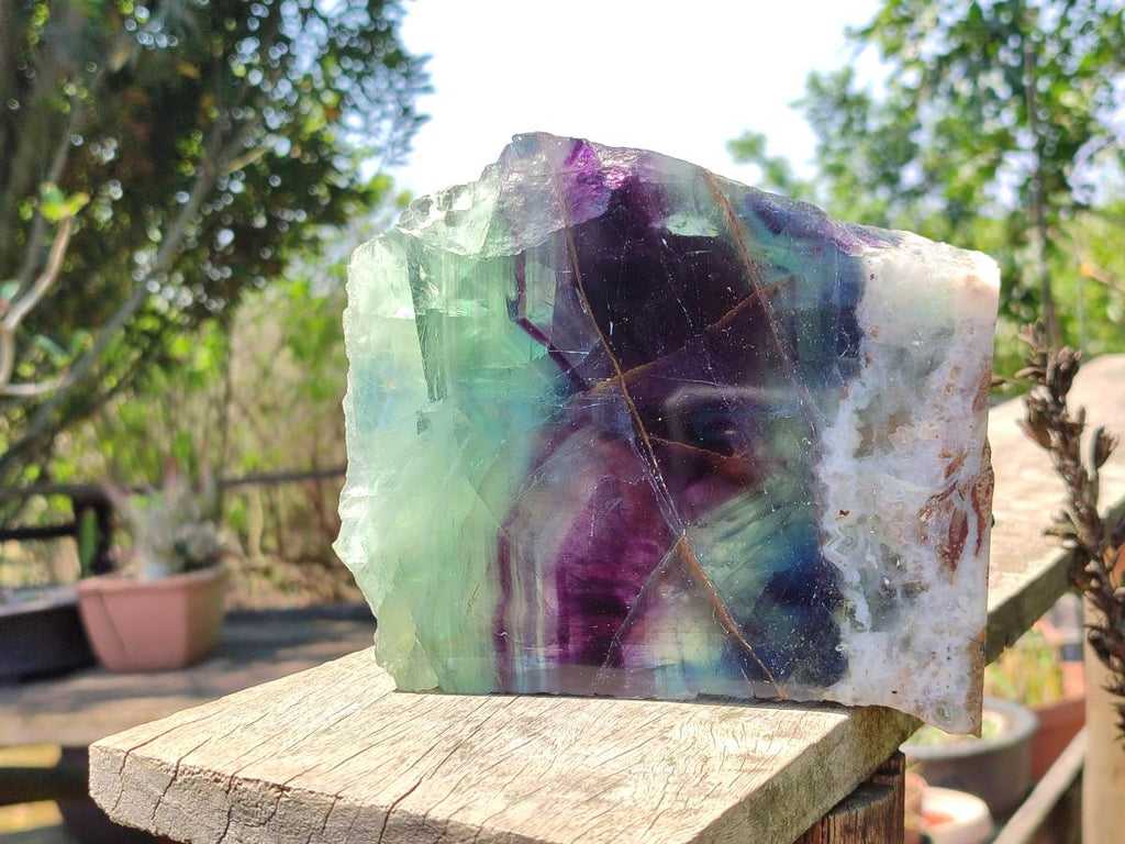 Polished On One Side Watermelon Fluorite Slice x 1 From Uis, Namibia