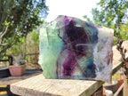 Polished On One Side Watermelon Fluorite Slice x 1 From Uis, Namibia
