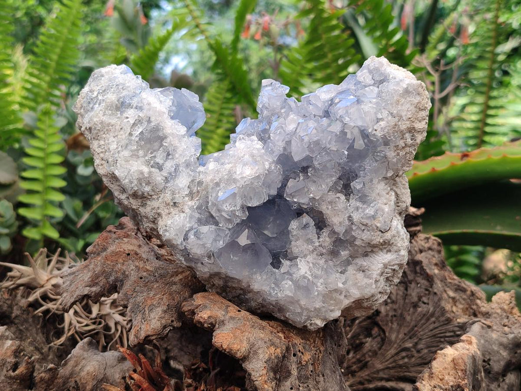 Natural Blue Celestite Geode Specimen x 1 From Sakoany, Madagascar