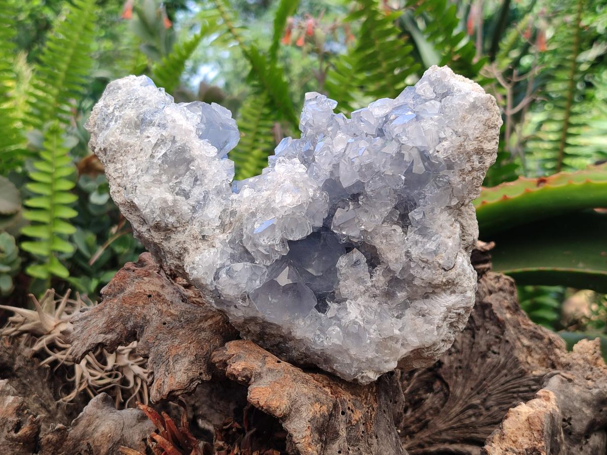 Natural Blue Celestite Geode Specimen x 1 From Sakoany, Madagascar