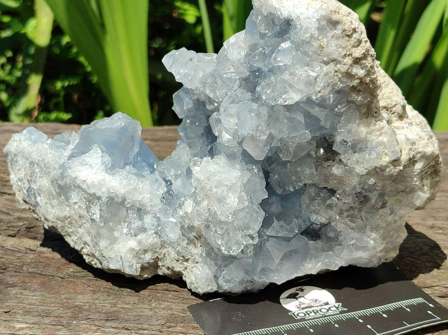 Natural Blue Celestite Geode Specimen x 1 From Sakoany, Madagascar