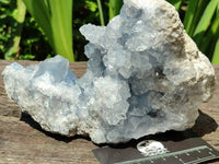 Natural Blue Celestite Geode Specimen x 1 From Sakoany, Madagascar