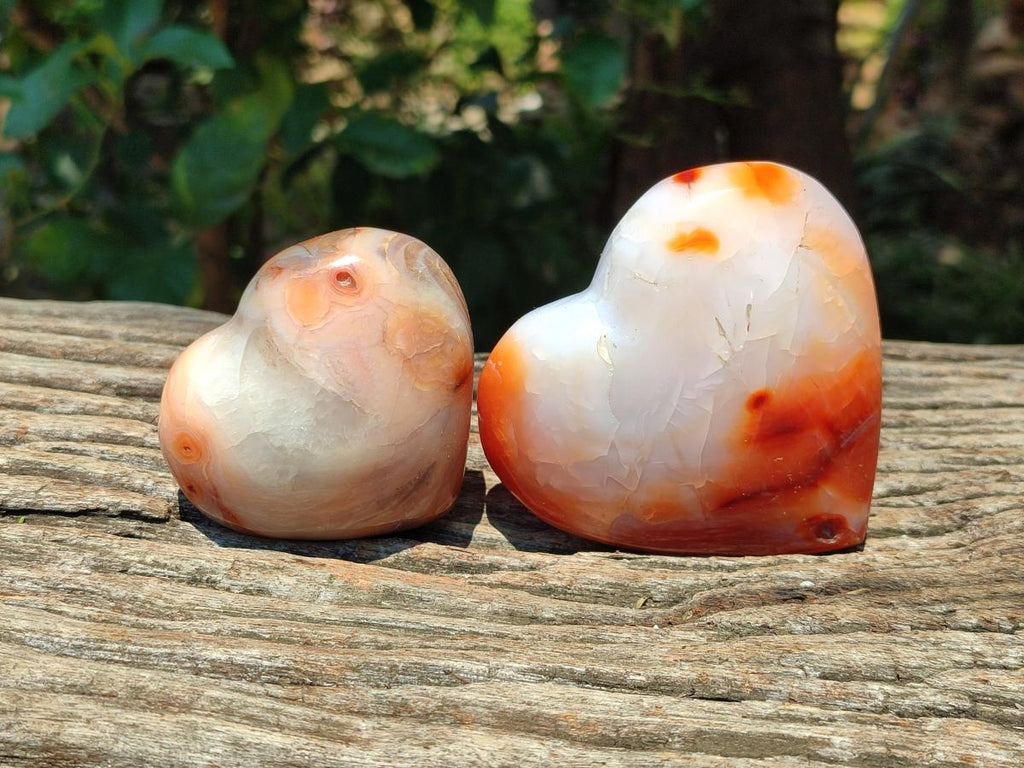 Polished Carnelian Agate Gemstone Hearts x 6 From Madagascar