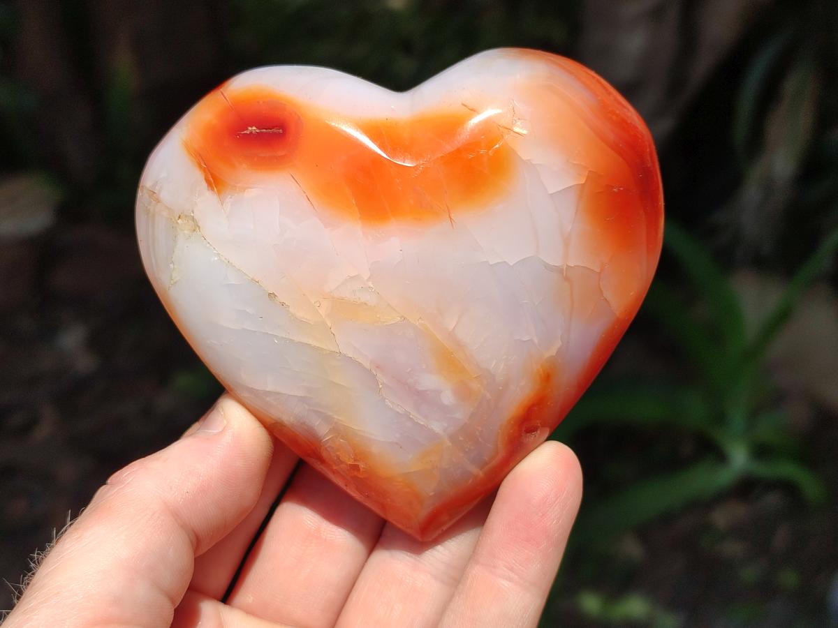 Polished Carnelian Agate Gemstone Hearts x 6 From Madagascar