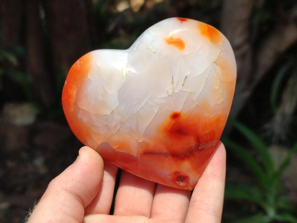 Polished Carnelian Agate Gemstone Hearts x 6 From Madagascar