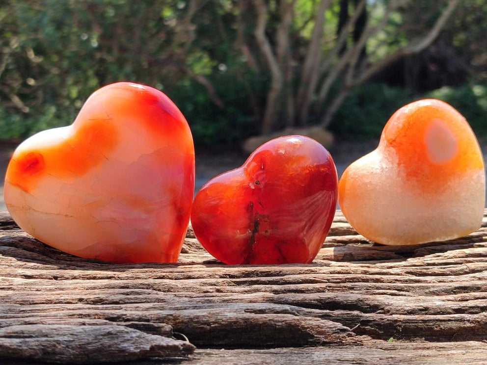 Polished Carnelian Agate Gemstone Hearts x 6 From Madagascar