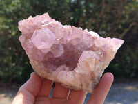 Natural Sunburst Amethyst Spirit Clusters x 2 From Boekenhouthoek, South Africa