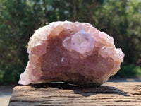 Natural Sunburst Amethyst Spirit Clusters x 2 From Boekenhouthoek, South Africa