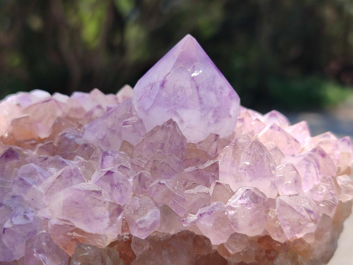 Natural Sunburst Amethyst Spirit Clusters x 2 From Boekenhouthoek, South Africa