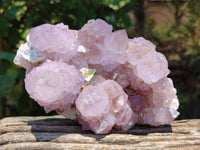 Natural Sunburst Amethyst Spirit Clusters x 2 From Boekenhouthoek, South Africa