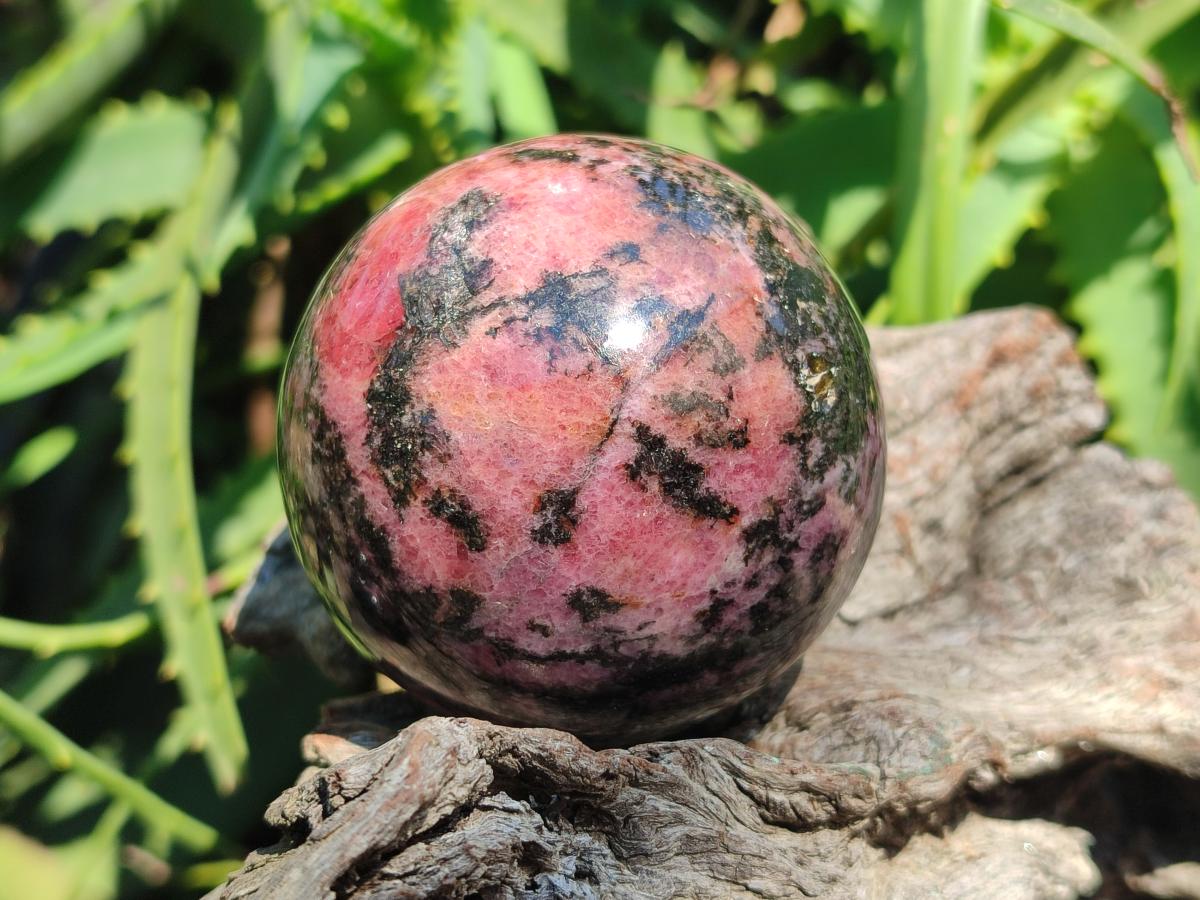 Polished Rhodonite Spheres x 4 From Ambindavato, Madagascar