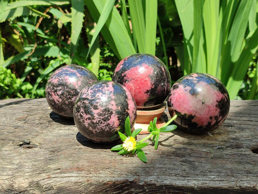 Polished Rhodonite Spheres x 4 From Ambindavato, Madagascar