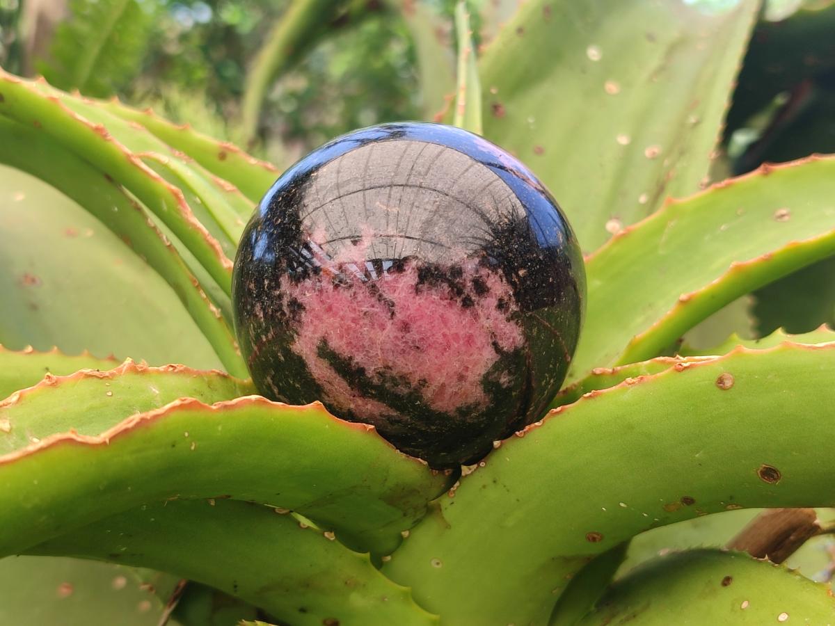 Polished Rhodonite Spheres x 4 From Ambindavato, Madagascar