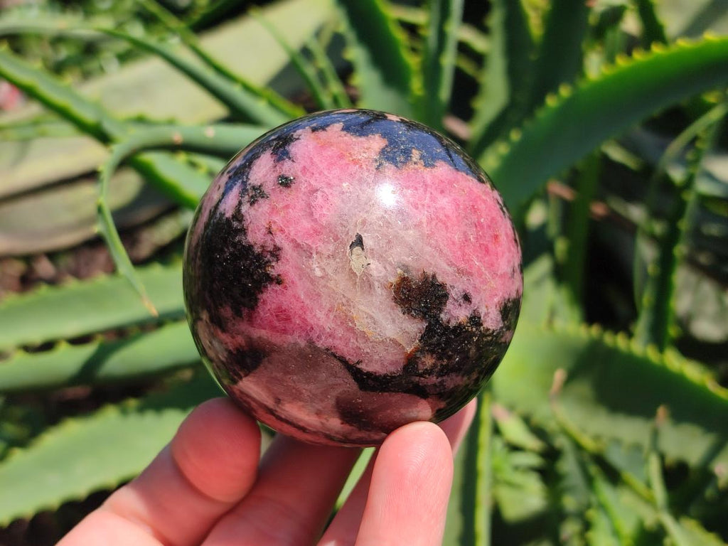 Polished Rhodonite Spheres x 4 From Ambindavato, Madagascar