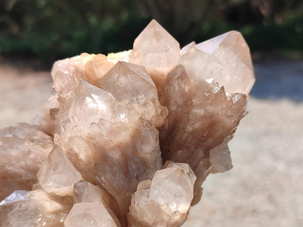 Natural Smokey Phantom Quartz Clusters x 2 From Luena, Congo