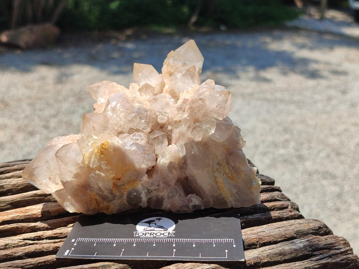 Natural Smokey Phantom Quartz Clusters x 2 From Luena, Congo