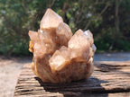 Natural Smokey Phantom Quartz Clusters x 2 From Luena, Congo