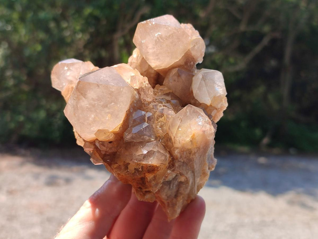Natural Smokey Phantom Quartz Clusters x 2 From Luena, Congo