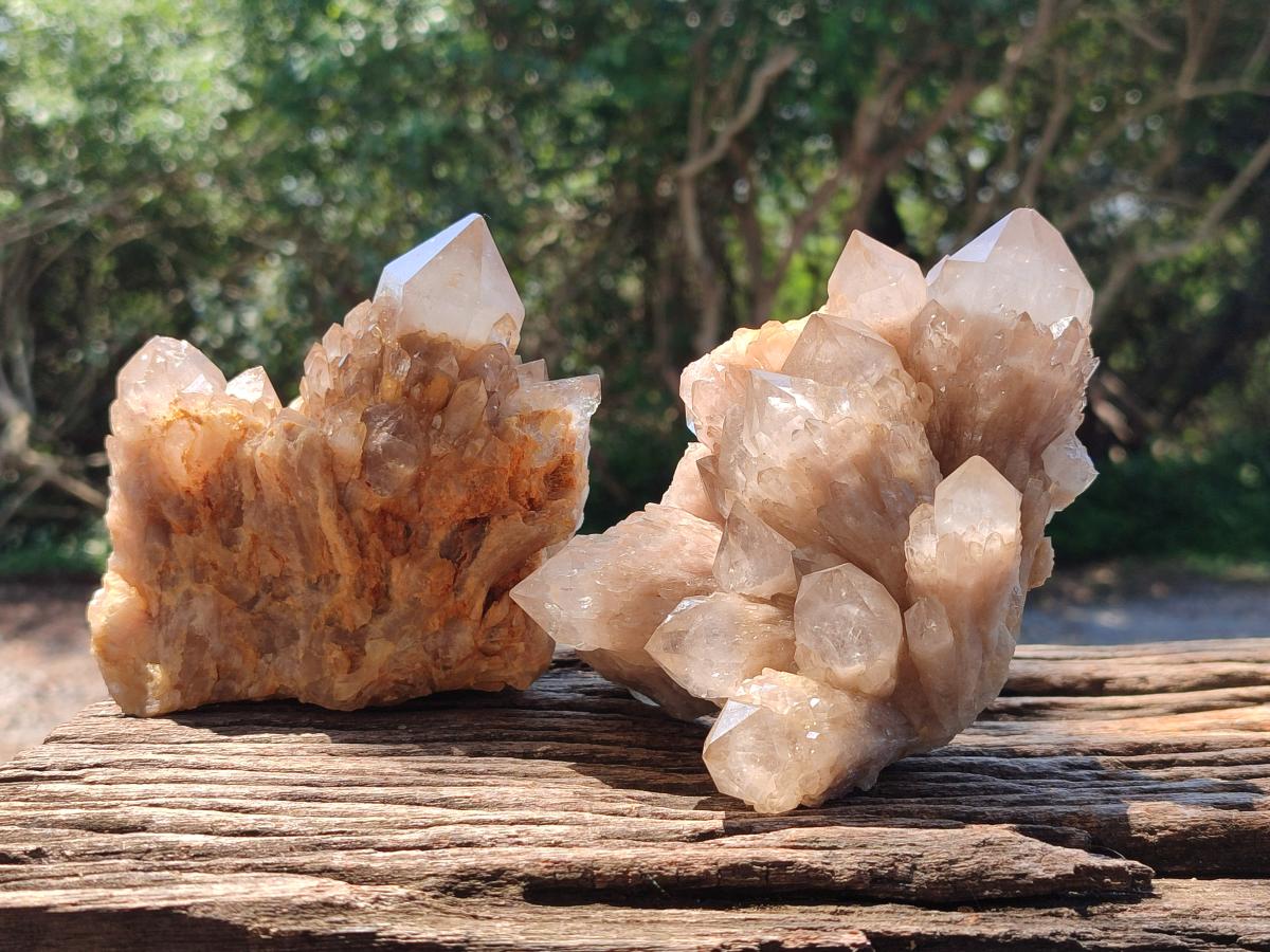 Natural Smokey Phantom Quartz Clusters x 2 From Luena, Congo