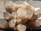 Natural Smokey Phantom Quartz Clusters x 2 From Luena, Congo
