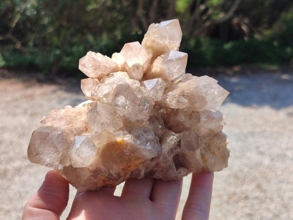 Natural Smokey Phantom Quartz Clusters x 2 From Luena, Congo