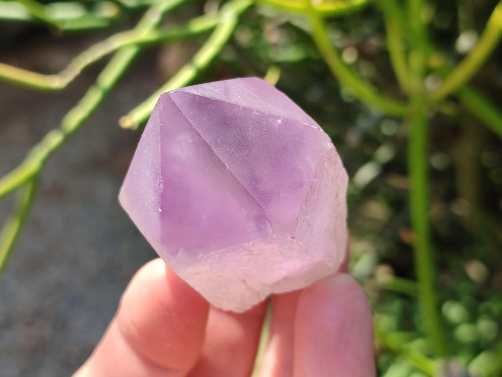 Polished Jacaranda Amethyst Quartz Crystals x 20 From Mumbwa, Zambia - Toprock Gemstones and Minerals 