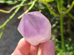 Polished Jacaranda Amethyst Quartz Crystals x 20 From Mumbwa, Zambia - Toprock Gemstones and Minerals 