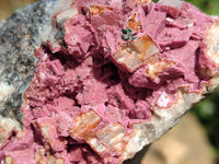 Natural Salrose Cobaltion Dolomite Specimens x 4 From Kakanda, Congo