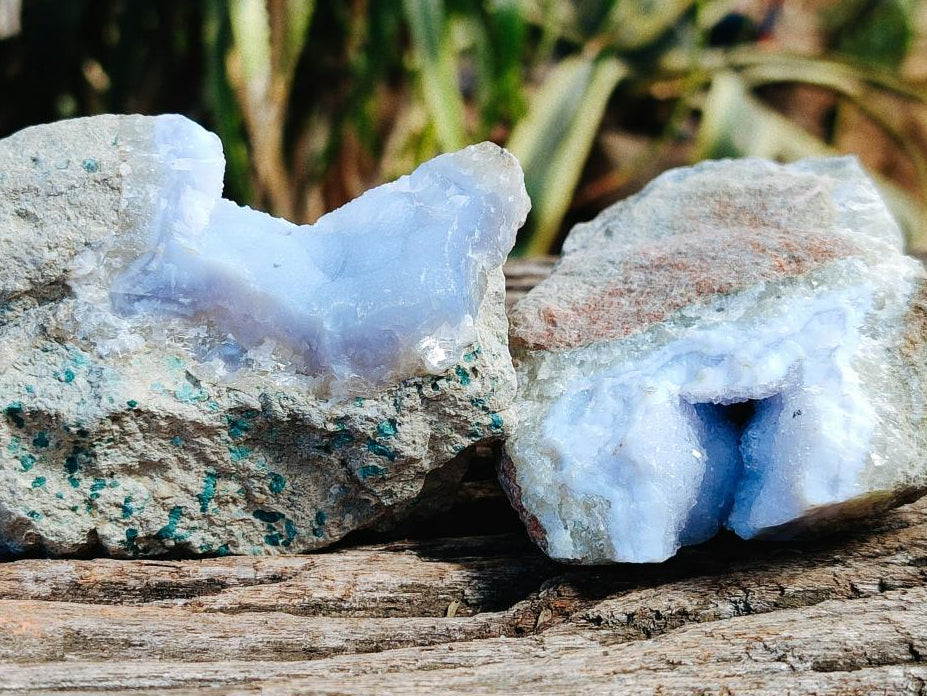 Natural Blue Lace Agate Geode Specimens x 12 From Nsanje, Malawi